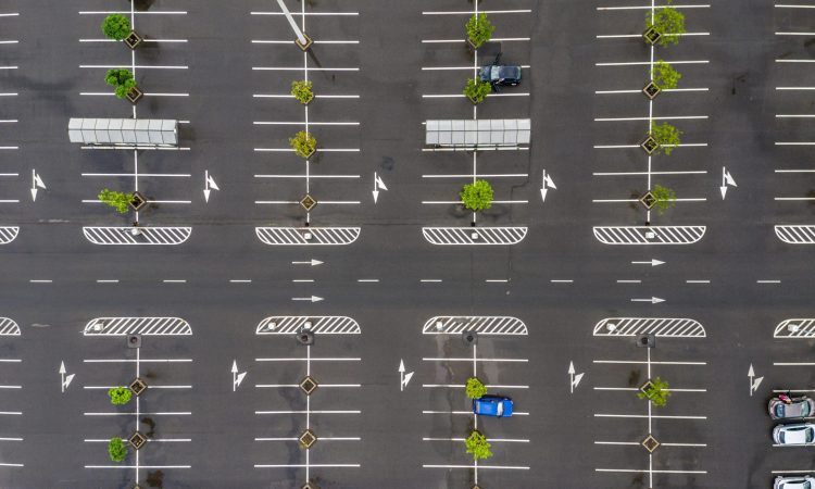 Site Layout (Horizontal Control)